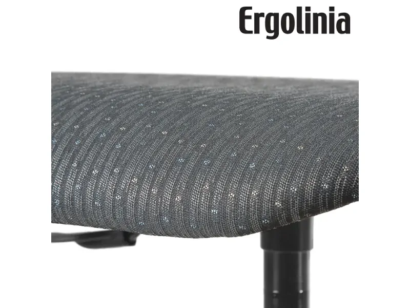 Průmyslová židle ERGOLINIA EVO2